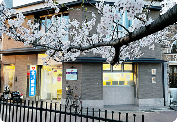 アクセス・医院情報